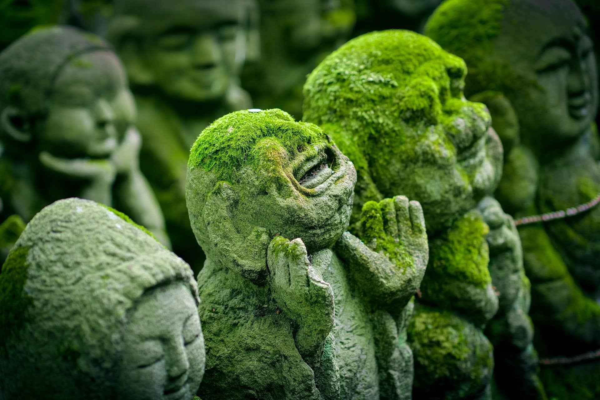 Japanese Values: Harmony in Every Step